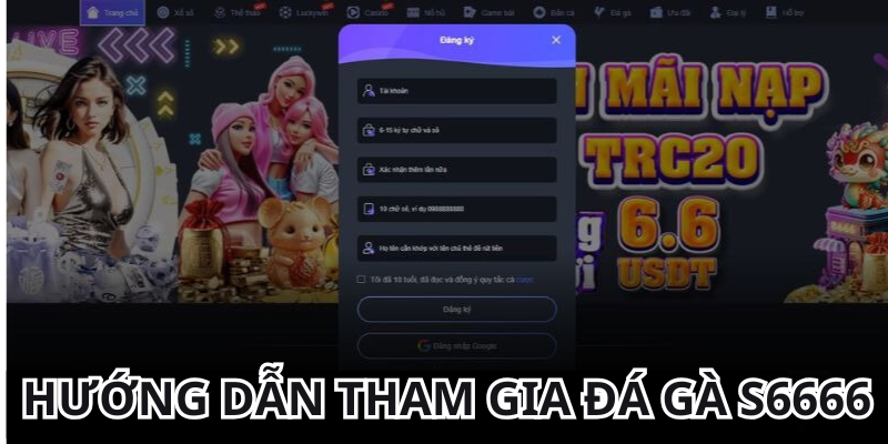 Hướng dẫn tham gia đá gà s6666